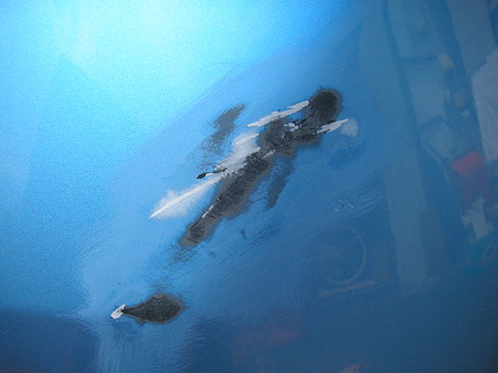 P7111786