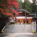 Photos: 今度は神社です(^｡^)