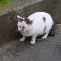 Photos: 暖かいと・・・