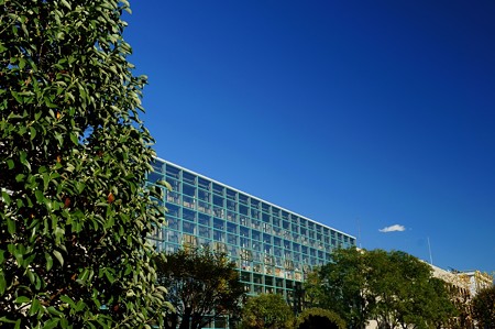 千葉大学 園芸学部
