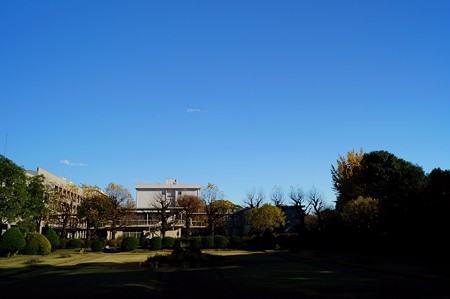 千葉大学 園芸学部