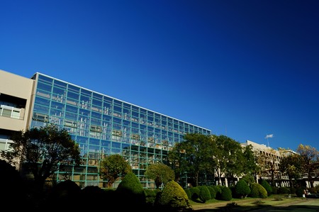 千葉大学 園芸学部