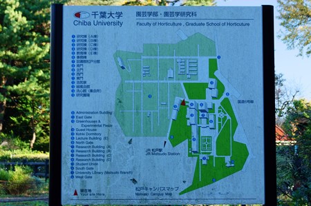 千葉大学 園芸学部