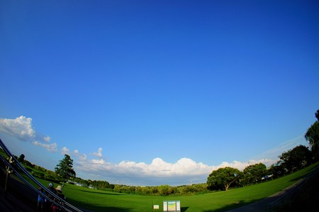 江戸川土手