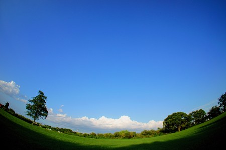 江戸川土手