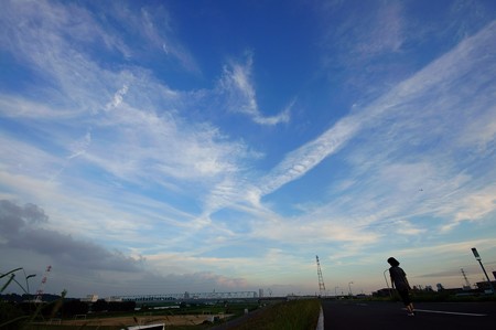 江戸川土手