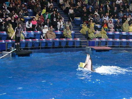 20100228 エプソン かまいるか