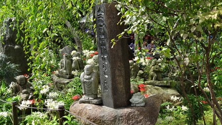 DSC02178
