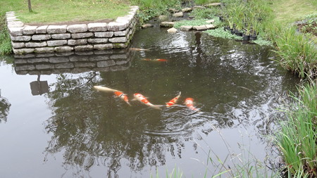 DSC02240
