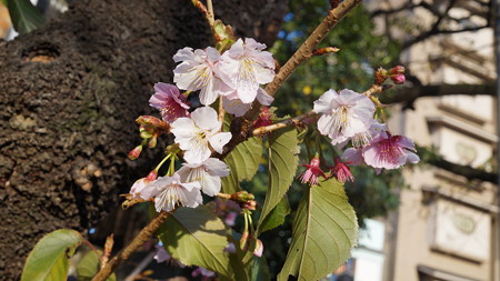 DSC00063