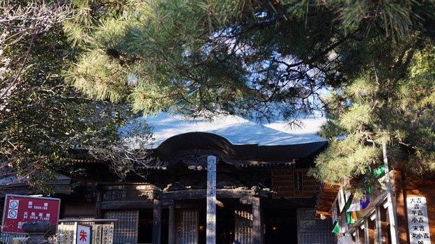 DSC00646