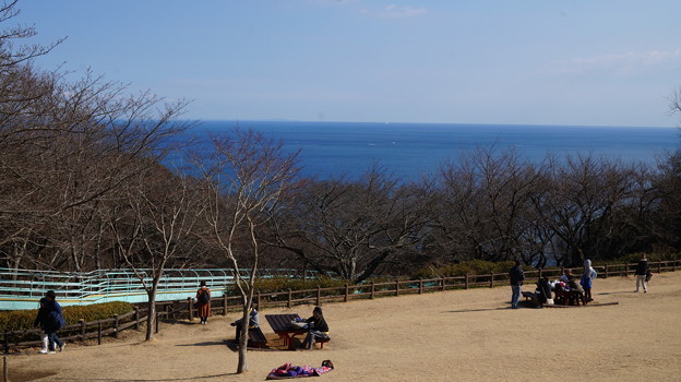 てっぺんからの最初の風景