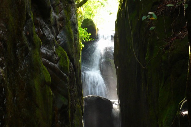 P1200933