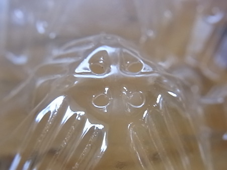 空気穴(タマゴパック)