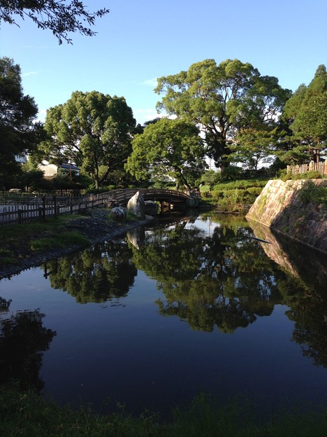 Photos: 20140731 高槻城跡の池