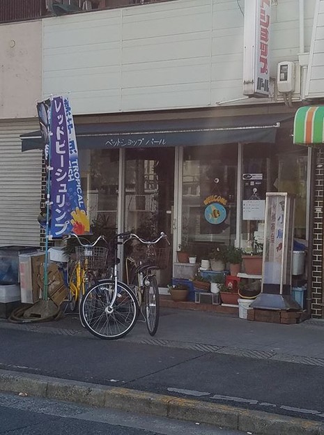 20170312 ペットショップパール
