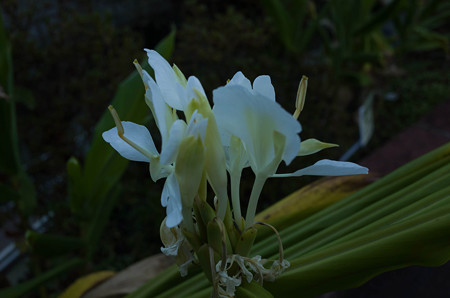 20161105-R0020085s