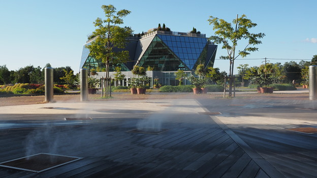 006