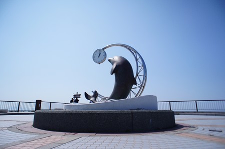 ノシャップ岬_1