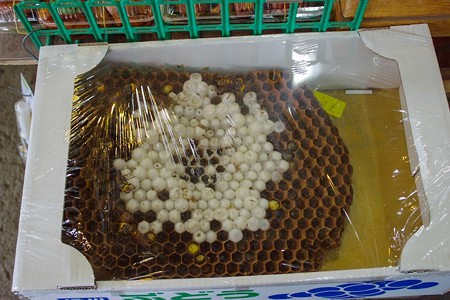 蜂の巣