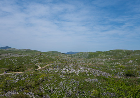 20160501-DSC02036