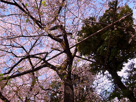 R0010230