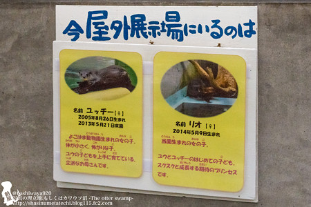 asa1408030003