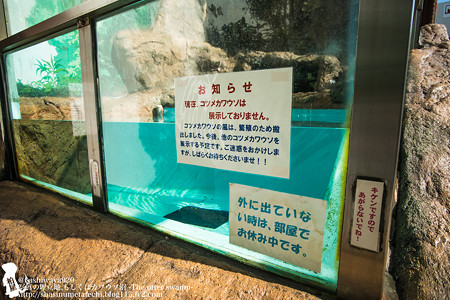 joetsu141012006