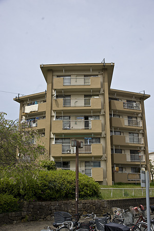 akabanedai090418005