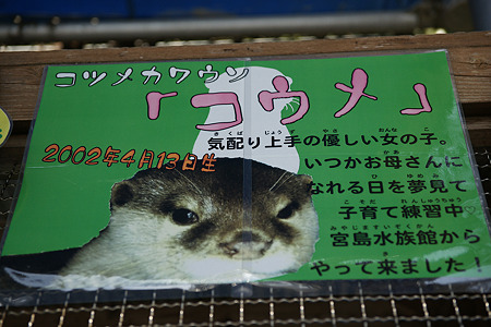 katurahama110311004