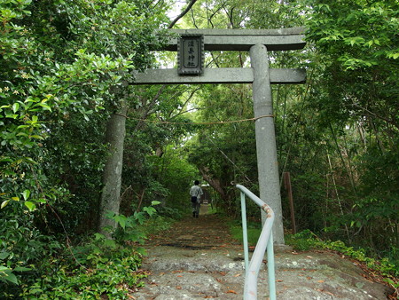 淡島神社の鳥居