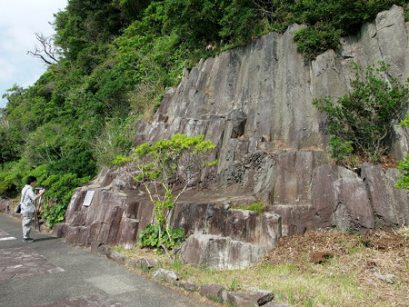 淡島の柱状節理