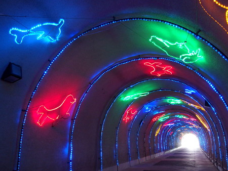 淡島遊歩トンネル