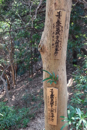 深蛇池分岐地点の木札