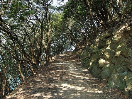 虎島へ続く道