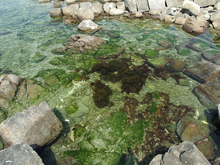 沖ノ島と虎島の間の海