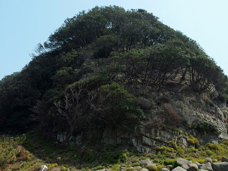 北西側から眺める虎島