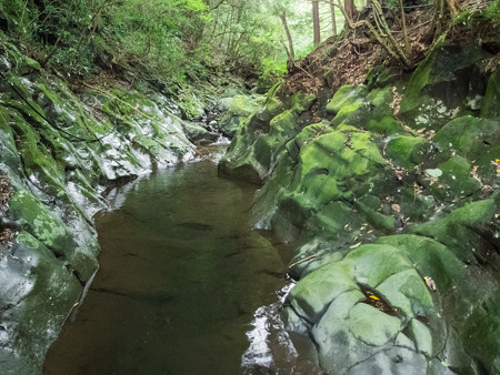 赤淵川 牛ヶ淵の滝へのルート 第3エリア