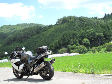 IMG_8162 あおあぉ~