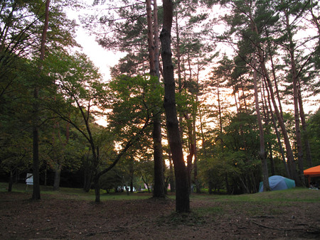 IMG_8326 夕闇迫る