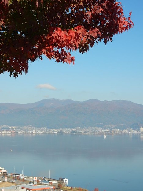 写真: DSCN1088 諏訪湖ともみじ