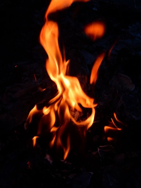 DSCN1263 お焚き上げ 写真: DSCN1263 お焚き上げ