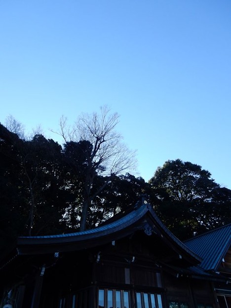 DSCN1262 初詣 写真: DSCN1262 初詣