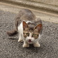 朝のご挨拶！？?
