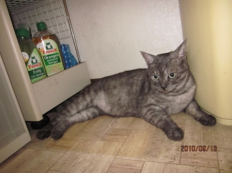 IMG_7563se