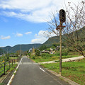 Photos: IMG_7698
