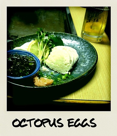 The eggs of the octopus