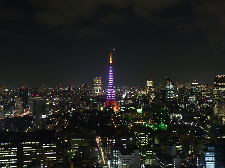 世界貿易センタービルからの夜景