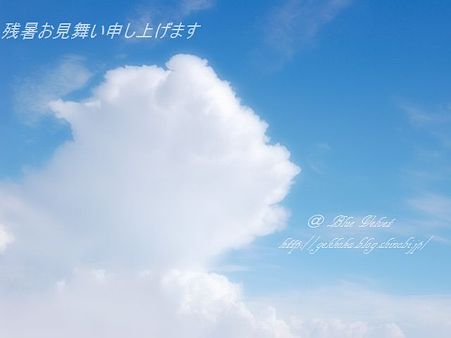 20100806空