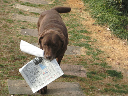 新聞運び